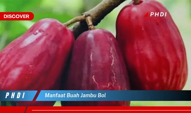 manfaat buah jambu bol