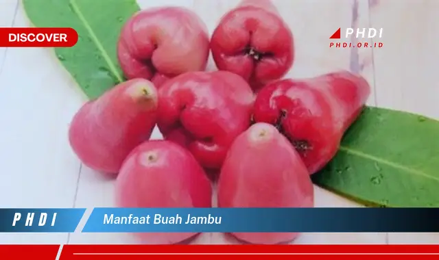 manfaat buah jambu