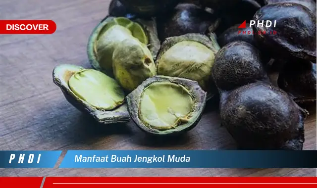 manfaat buah jengkol muda