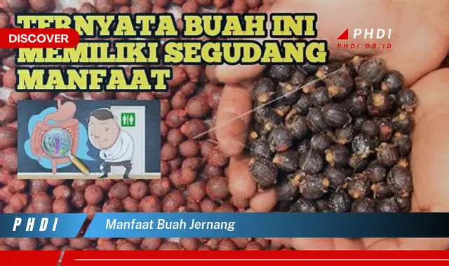 manfaat buah jernang