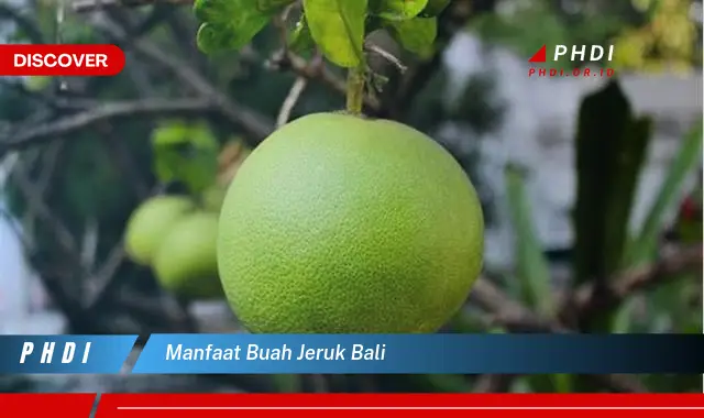 Temukan Manfaat Buah Jeruk Bali yang Bikin Kamu Penasaran