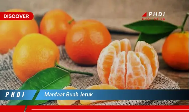 manfaat buah jeruk