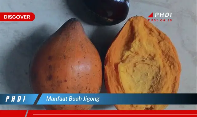 manfaat buah jigong