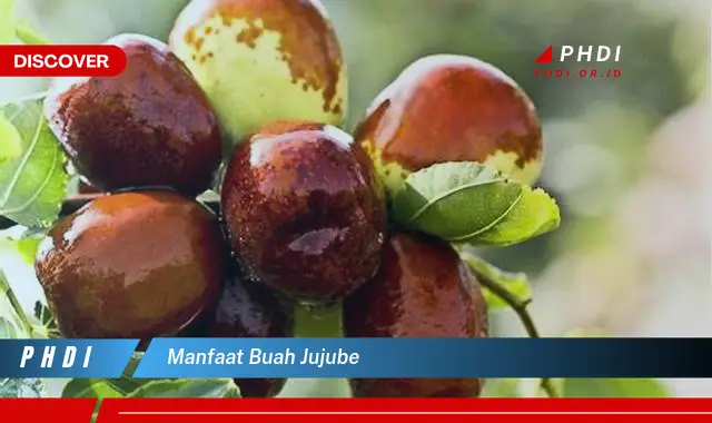 manfaat buah jujube