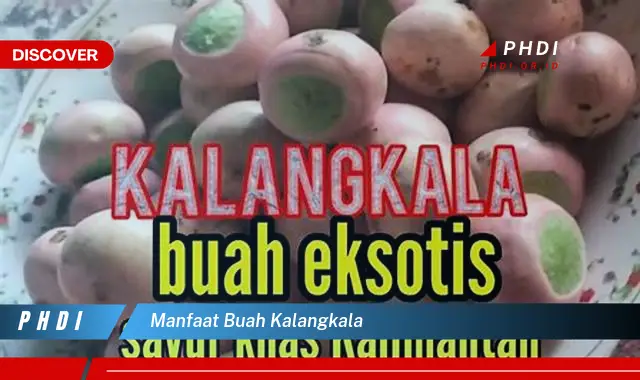 manfaat buah kalangkala