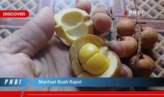 manfaat buah kapul