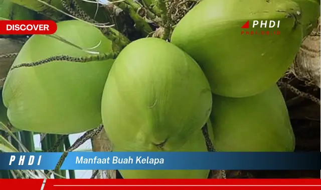 manfaat buah kelapa