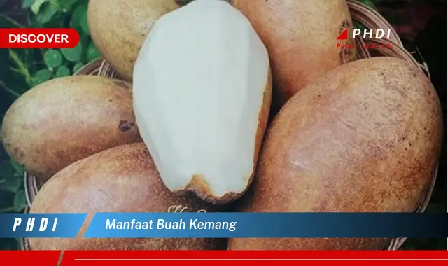 manfaat buah kemang