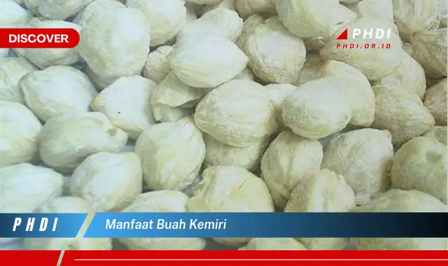 Ketahui Manfaat Buah Kemiri yang Jarang Diketahui