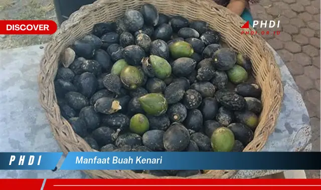 manfaat buah kenari