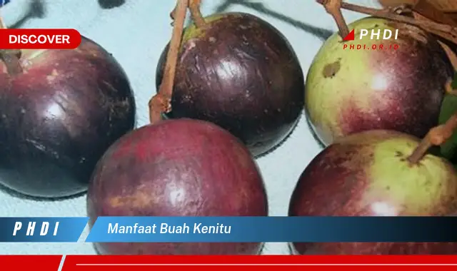 manfaat buah kenitu