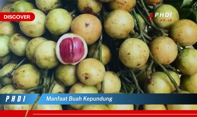 manfaat buah kepundung