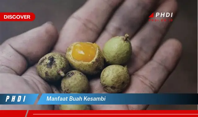 manfaat buah kesambi