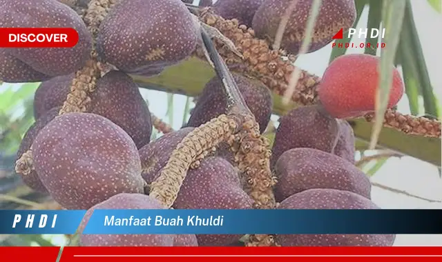 manfaat buah khuldi