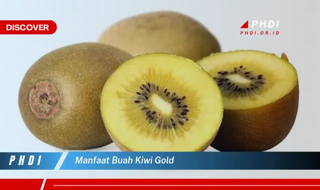 manfaat buah kiwi gold