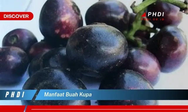 manfaat buah kupa