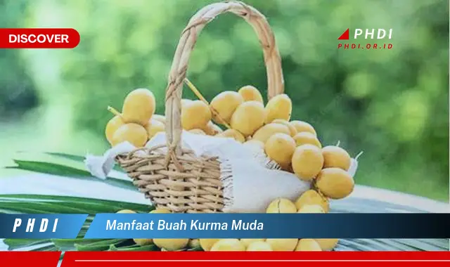 manfaat buah kurma muda