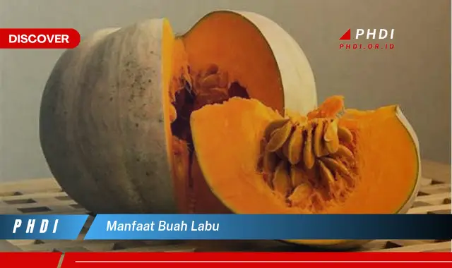 manfaat buah labu