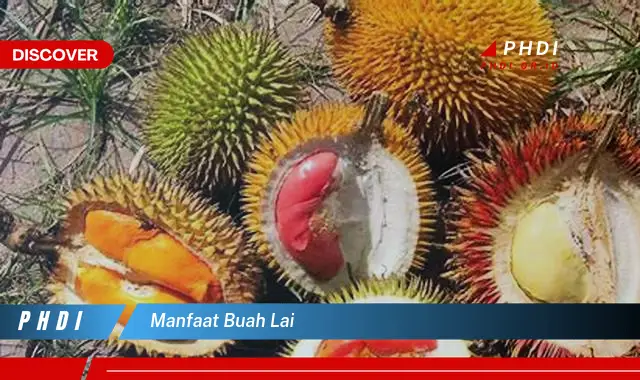 manfaat buah lai