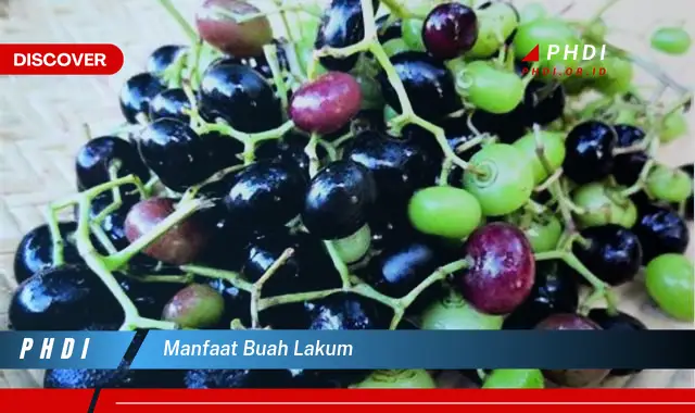 manfaat buah lakum