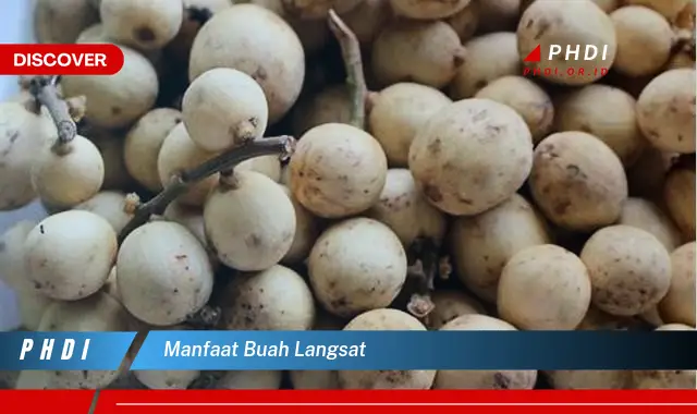 manfaat buah langsat