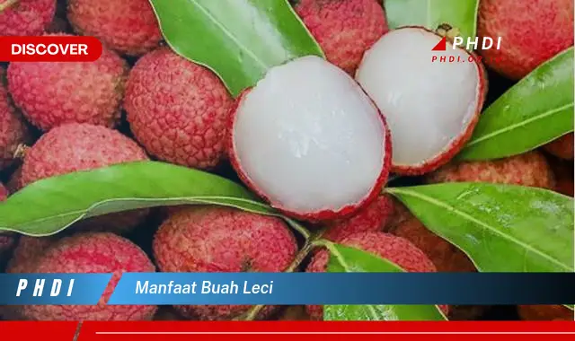 manfaat buah leci