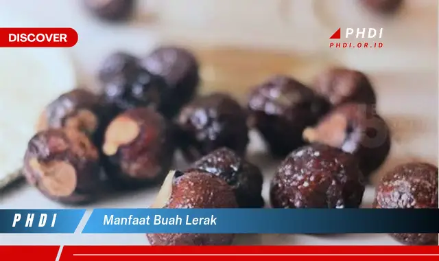 manfaat buah lerak