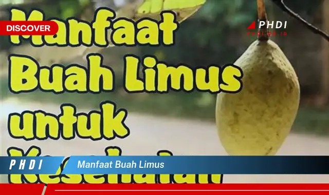 manfaat buah limus