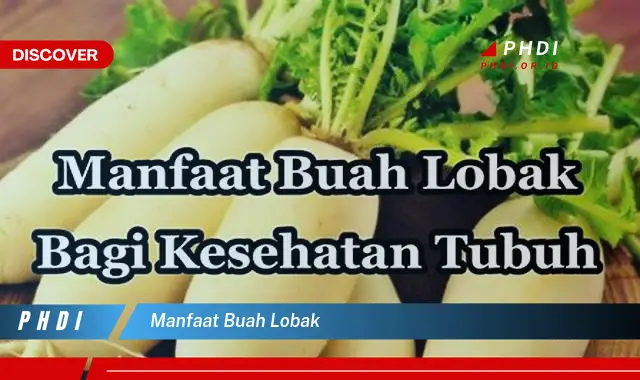 manfaat buah lobak