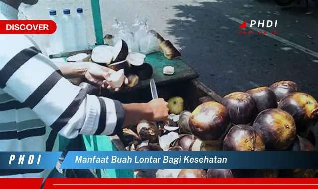 manfaat buah lontar bagi kesehatan