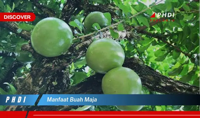 Ketahui Manfaat Buah Maja yang Jarang Diketahui!