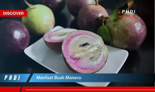 manfaat buah manecu