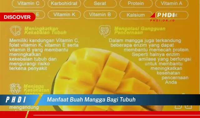 manfaat buah mangga bagi tubuh