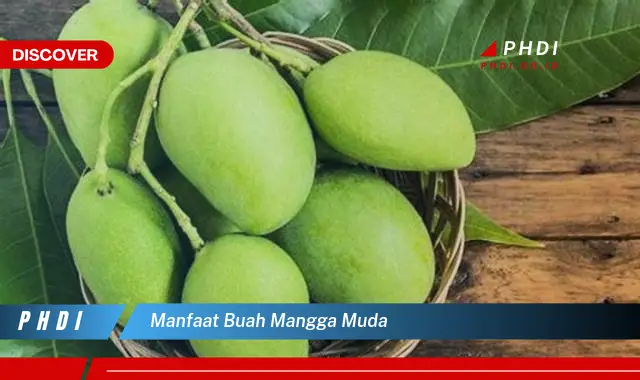 manfaat buah mangga muda