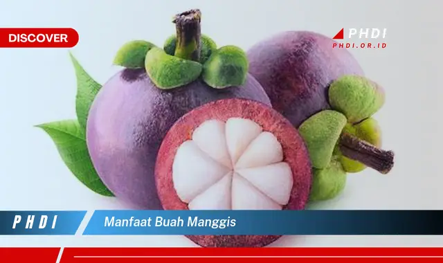 manfaat buah manggis