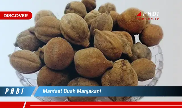 manfaat buah manjakani