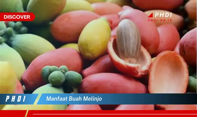 manfaat buah melinjo