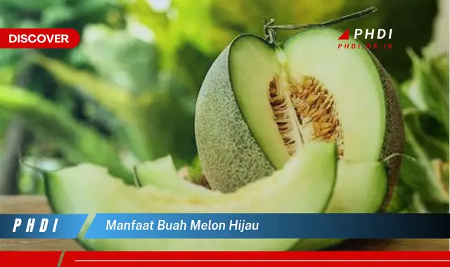 manfaat buah melon hijau