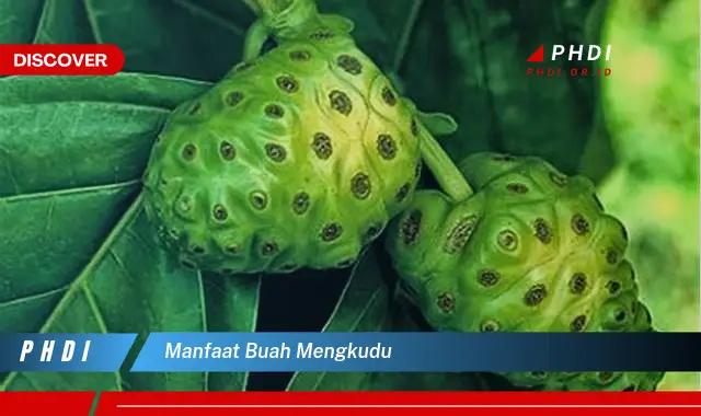 manfaat buah mengkudu