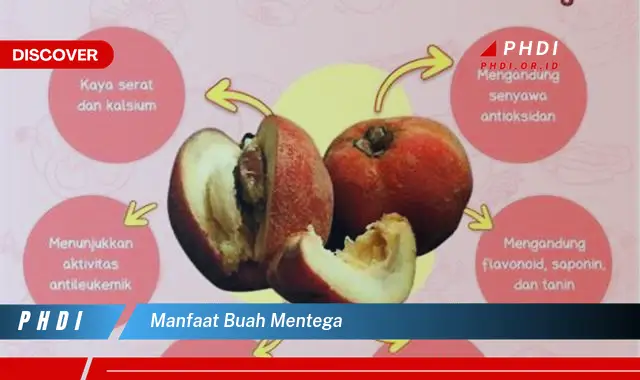 manfaat buah mentega