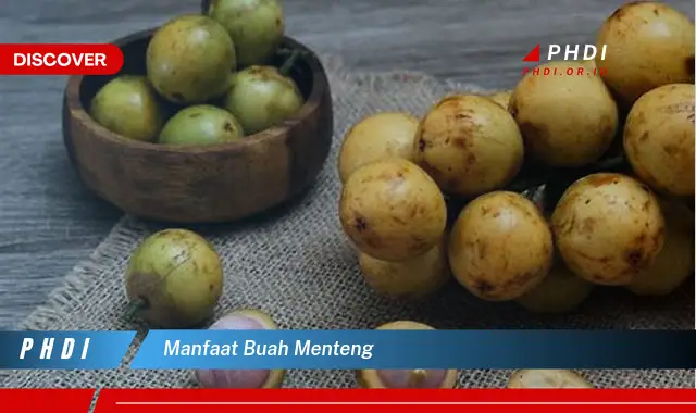 manfaat buah menteng