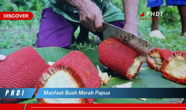 manfaat buah merah papua