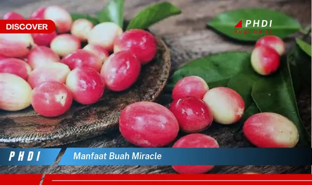 manfaat buah miracle