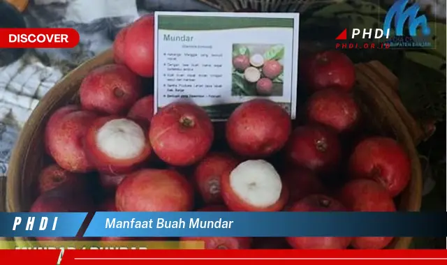 manfaat buah mundar