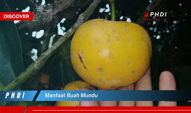 manfaat buah mundu