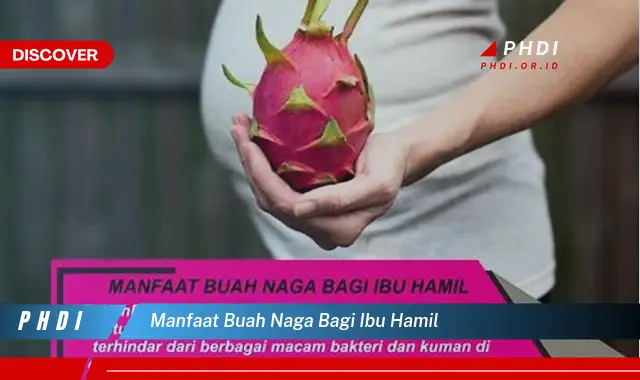 manfaat buah naga bagi ibu hamil