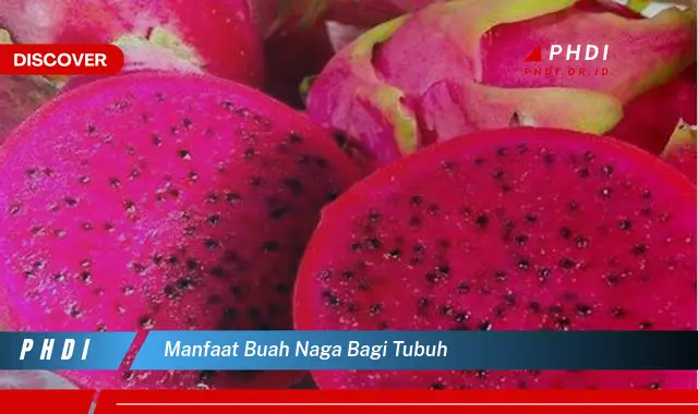 manfaat buah naga bagi tubuh