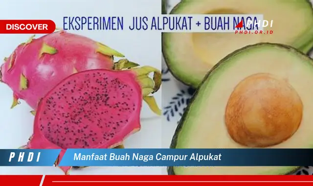 manfaat buah naga campur alpukat