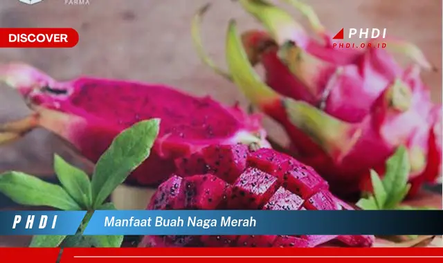 manfaat buah naga merah