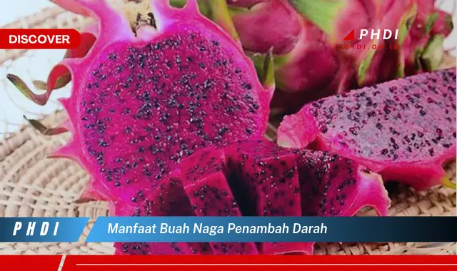 manfaat buah naga penambah darah